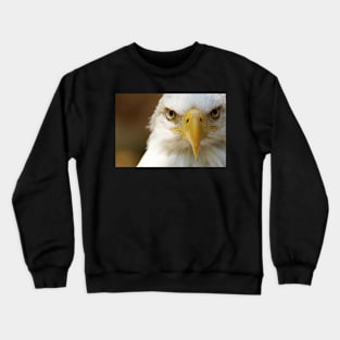 Bald Eagle Crewneck Sweatshirt